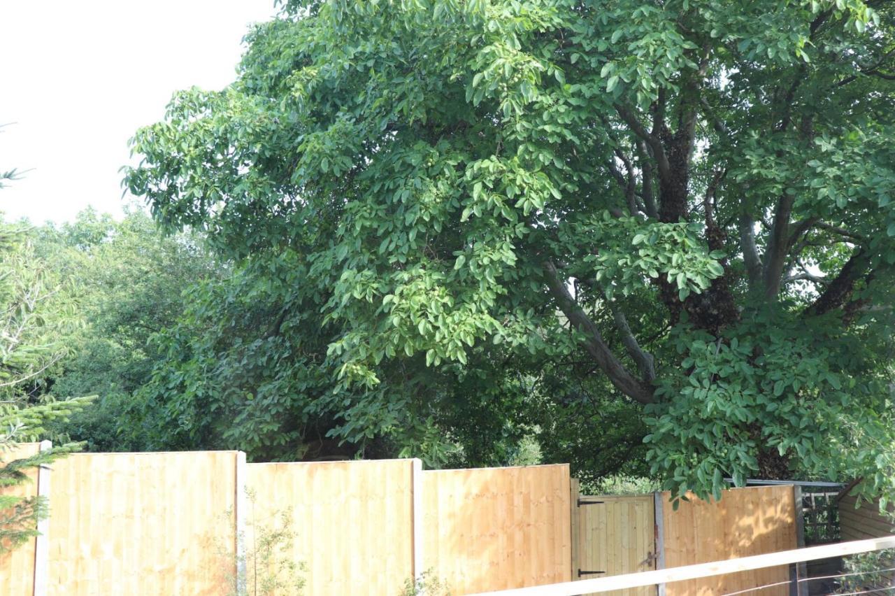 Walnut Tree View Villa Oxford Eksteriør bilde